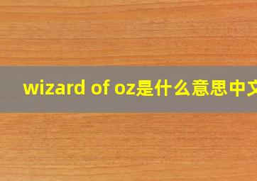 wizard of oz是什么意思中文